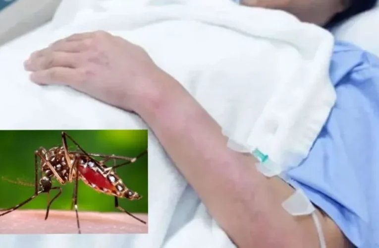 De rodillas con el dengue 23 muertes