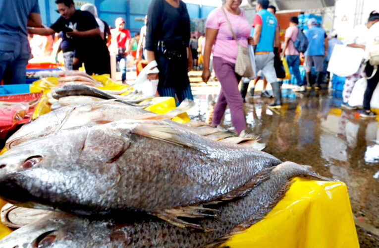 SE FUERON CHUCOS SIN PESCADO