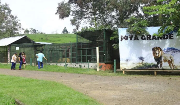 JOYA GRANDE, EL GRAN BANQUETE