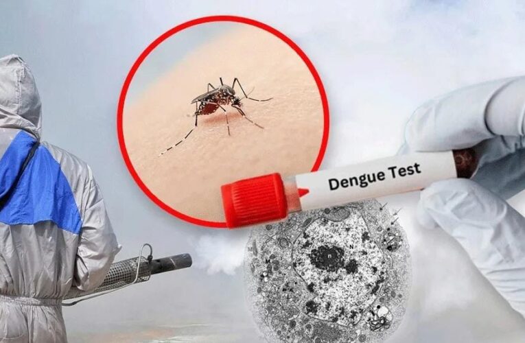 ¡CUÍDESE DEL DENGUE O SE LO LLEVA LA PELONA!