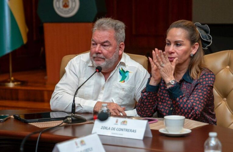 ATIC LE CAE A LA MUJER DEL POLLO