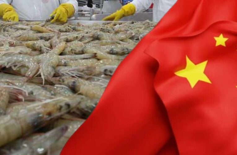 CHINA HUNDE A LOS CAMARONEROS CATRACHOS