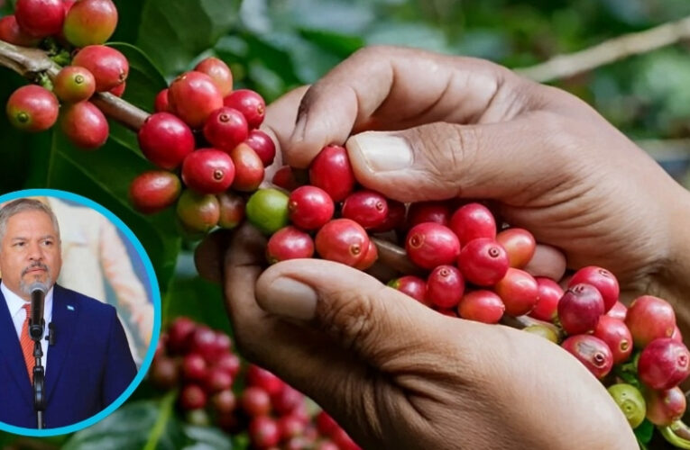 ¡LO BUENO ES LO BUENO! Y EL CAFÉ HONDUREÑO LO ES