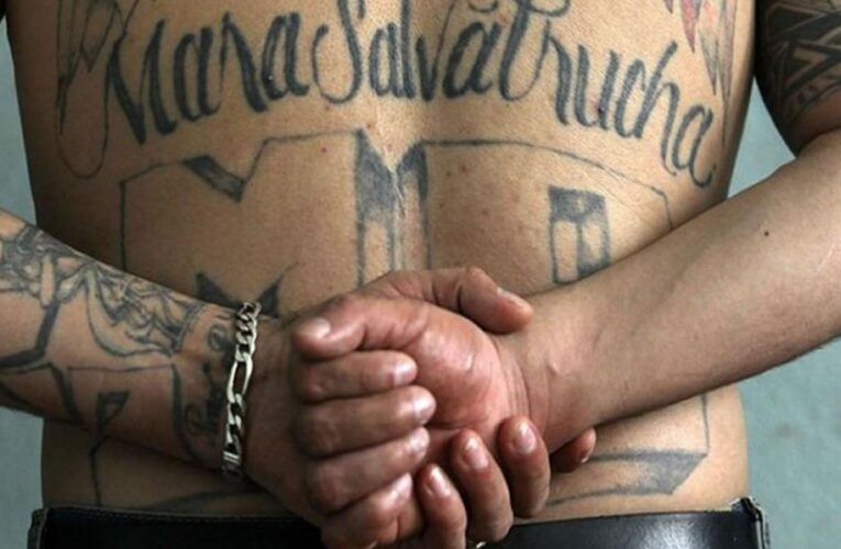 JUSTICIA DE EEUU ACUSA A SEIS MIEMBROS DE LA MARA MS-13 DE CRIMEN ORGANIZADO