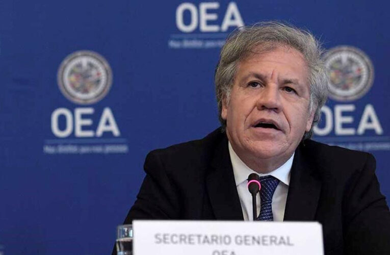 LA OEA ELEGIRÁ AL SUCESOR DE LUIS ALMAGRO